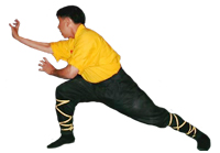 Sifu performing a hand form